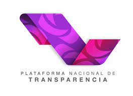 PNT LOGO